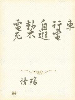 电动自行车电池充不进电