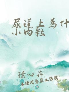 尿道上为什么有小肉粒