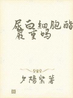 尿白细胞酯酶3 严重吗