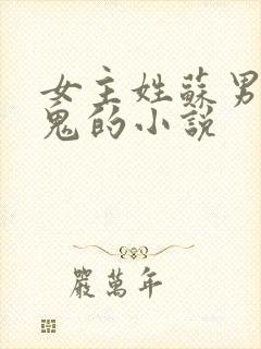 女主姓苏男主是鬼的小说