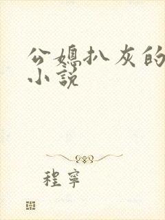 公媳扒灰的民间小说