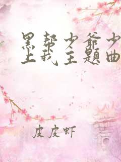 黑帮少爷少爷爱上我主题曲