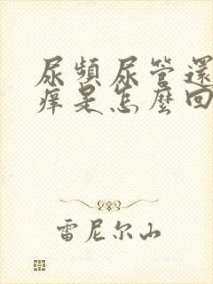 尿频尿管还有点痒是怎么回事