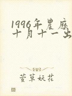 1996年农历十月十一出生女的婚姻与命运