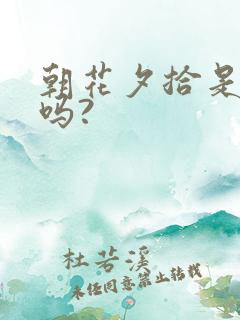 朝花夕拾是小说吗?