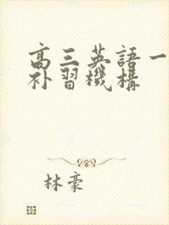 高三英语一对一补习机构