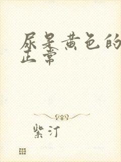 尿是黄色的正不正常