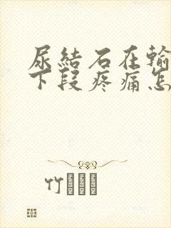 尿结石在输尿管下段疼痛怎么办