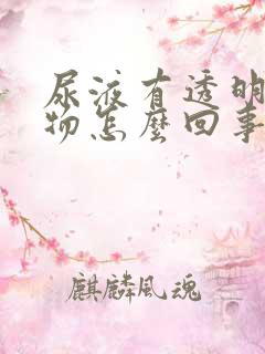 尿液有透明胶状物怎么回事