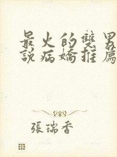 最火的双男主小说病娇推荐男友文