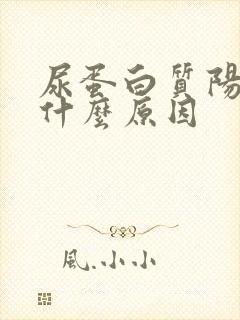 尿蛋白质阳性是什么原因