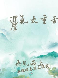 湿气太重舌苔白厚