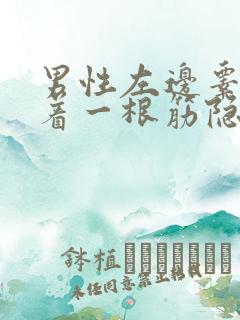 男性左边睾丸连着一根筋隐隐作痛