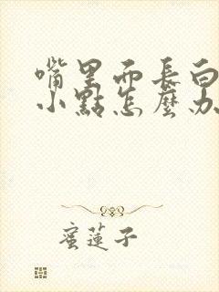 嘴里面长白色的小点怎么办