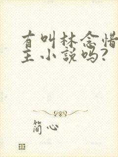 有叫林念惜的女主小说吗?