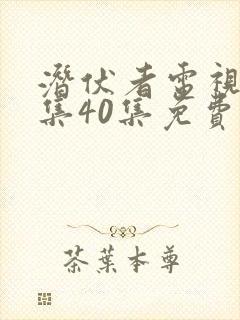 潜伏者电视剧全集40集免费观看潜伏