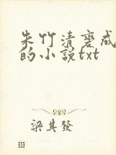 朱竹清变成朱奴的小说txt