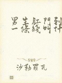 男生肛门到阴囊一条线叫什么