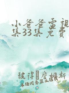 小爸爸电视剧全集33集免费