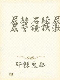 尿结石经尿道输尿管镜钬激光