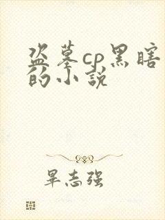 盗墓cp黑瞎子的小说