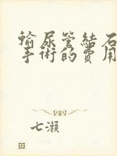 输尿管结石硬镜手术的费用