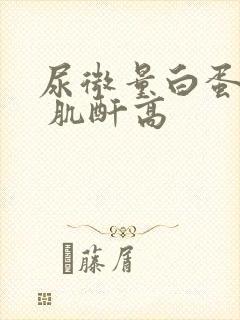 尿微量白蛋白高 肌酐高