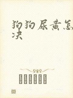 狗狗尿黄怎么解决