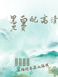 黑白配高清播放免费