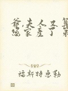 爷,夫人又算计您家产了 第二夜