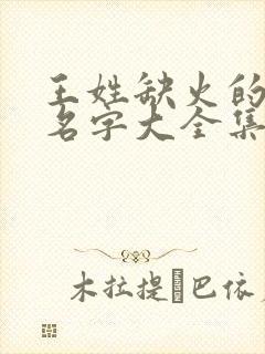 王姓缺火的男孩名字大全集