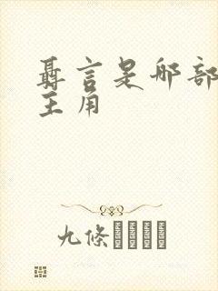 聂言是哪部小说主角