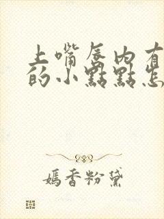 上嘴唇内有白色的小点点怎么回事