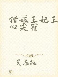 错嫁王妃王爷的心尖宠