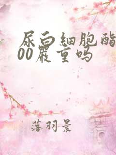 尿白细胞酯酶500严重吗