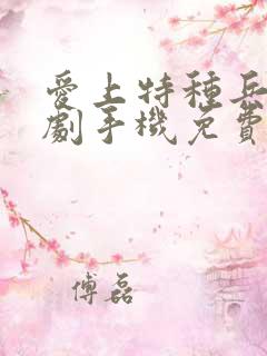 爱上特种兵电视剧手机免费观看全集