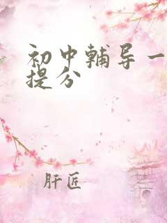 初中辅导一对一提分