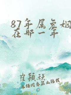 87年属兔姻缘在哪一年