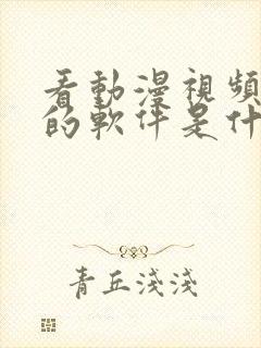 看动漫视频免费的软件是什么