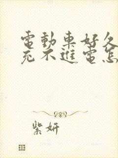 电动车好久没骑充不进电怎么办