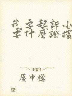 我要起诉小三需要什么证据