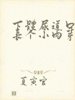 下体尿道口突然长个小肉芽