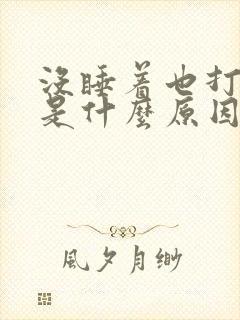 没睡着也打呼噜是什么原因