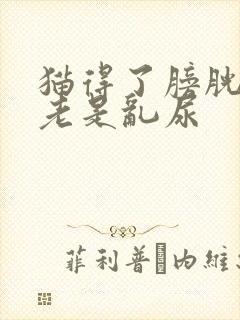 猫得了膀胱炎后老是乱尿