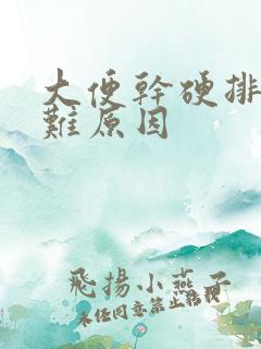 大便干硬排便困难原因