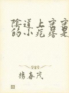 阴道上密密麻麻的小疙瘩是什么