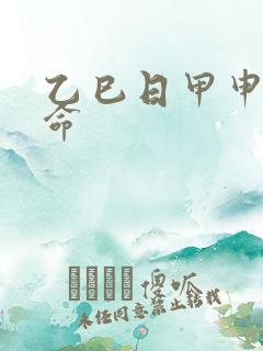 乙巳日甲申时女命