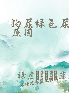 狗尿绿色尿什么原因