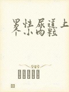 男性尿道上长了个小肉粒