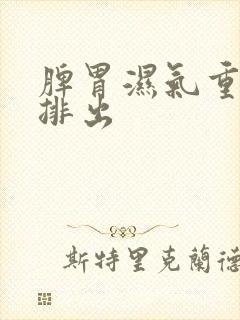 脾胃湿气重怎样排出